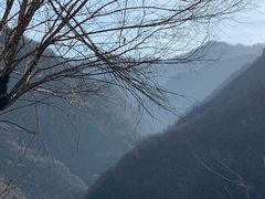 -秦岭风景区