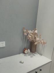 点击看大图 -Lily纤美·科技减脂中心
