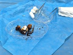 -南方医科大学南方医院(院本部)