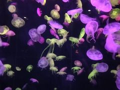 -悠长假期西餐厅(麻涌凯翠园店)