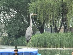 -WhaleSports户外水上运动俱乐部(朝阳公园店)