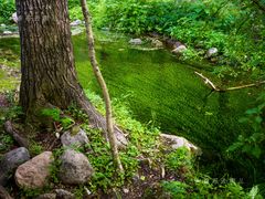 -玉渡山自然风景区