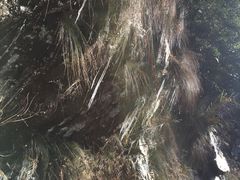 -湖州龙王山景区