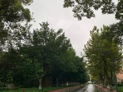 -四川大学(望江校区)