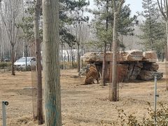-秦皇岛野生动物园