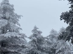 -峨眉山风景名胜区