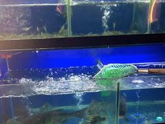 水产区-李东农庄(中南百草园地标店)