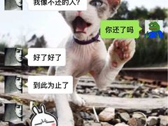 -齐岸健身(花园城店)