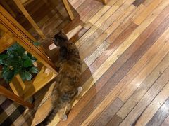 -猫的天空之城概念书店(杭州南宋御街店)