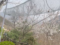 -幽岚山·童话森林