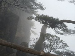 -黄山光明顶山庄