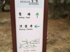 -北京鹫峰国家森林公园