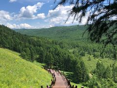 -莫尔道嘎国家森林公园