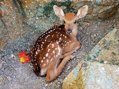 -水上乐园·欢乐世界