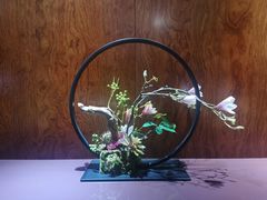 -苏州金科大酒店