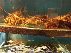 -宁波汉通海鲜大酒店(江湾店)