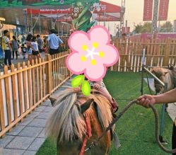 -萌宠亲子动物乐园(槐房万达店)