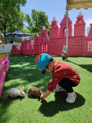 -萌宠亲子动物乐园(槐房万达店)