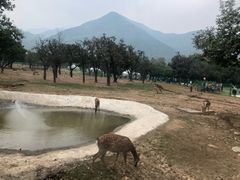 -西安秦岭野生动物园