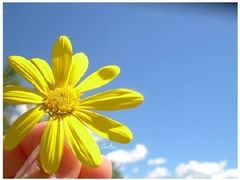 -秦皇岛职业技术学院图书馆(佳苑小区北)