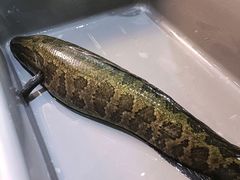 -香满锅老北京羊蝎子火锅·家常菜(新街口店)