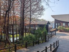 -溱湖国家湿地公园