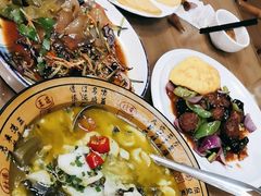 -邵年鸽(杨庄店)