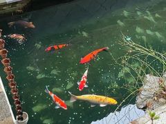 -常州九洲环宇大酒店(常州火车站店)