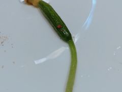 -小广寒电影艺术餐厅(小广寒经三路店)