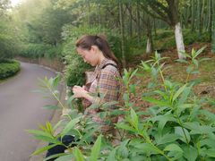-苏州环秀晓筑养生度假村