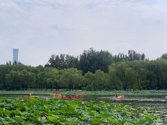 -WhaleSports户外水上运动俱乐部(朝阳公园店)