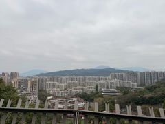 -福道