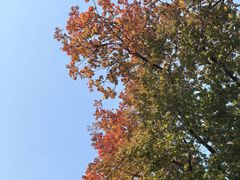 -白鹭湾湿地公园