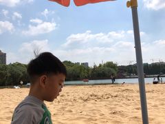 -青枫公园