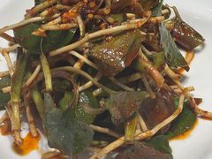 鱼腥草-蜀阳餐厅·金牌水煮鱼
