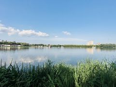 -大兴滨河森林公园