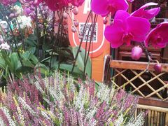 -重庆市江北嘴中央商务区中央公园