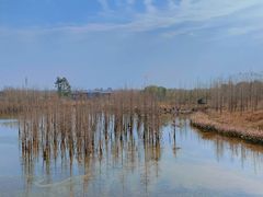 -白鹭湾湿地公园