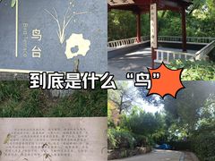 -北极阁公园