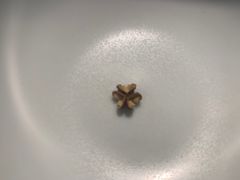 -初蓉丨遇见新川菜(亲贤街荣耀店)