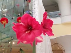 iphone_upload_pic-广州花之恋城堡酒店