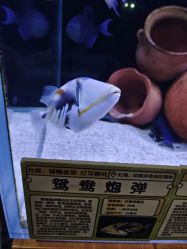 -Zoolung Zoolung动物主题公园(海信广场店)