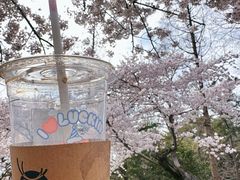 -青岛海滨风景区