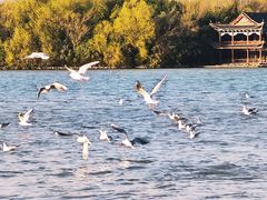 -云龙湖旅游景区