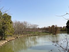 -上海海湾国家森林公园