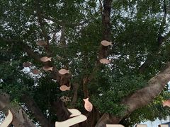 -飞霞风景名胜区