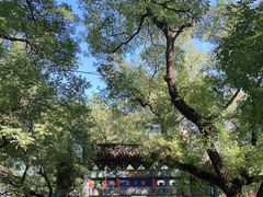 -北京国子监胡同