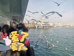 -刘公岛景区