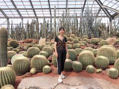 -南通洲际绿博园