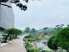 -罗红摄影艺术馆